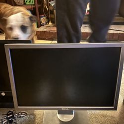 Dell Monitor