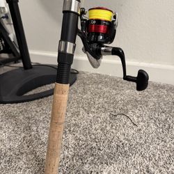 Daiwa D-Shock II Combo - BRAND NEW!