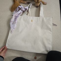 Victoria Secret Handbag