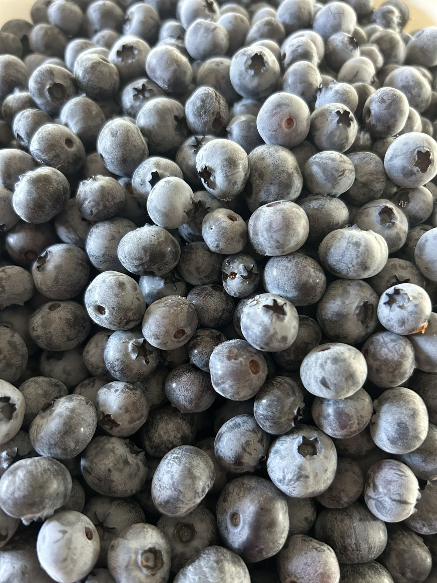 Picked daily! 100% Organic Blueberries