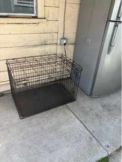 Large dog crate