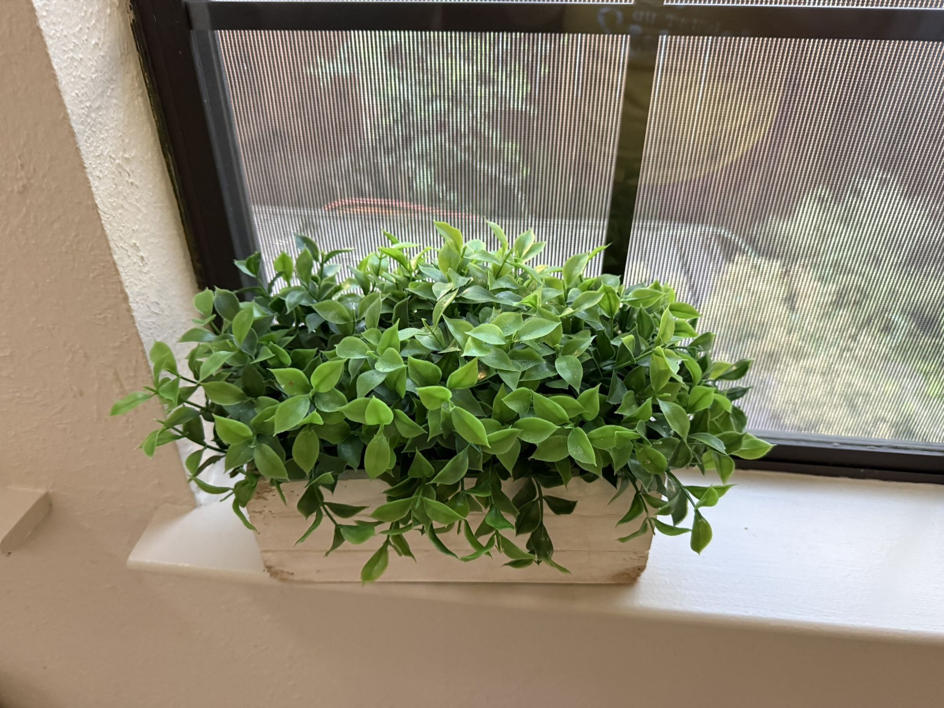 Artificial Plant in Rustic White Box