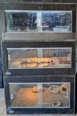 Reptihome display tanks- gently used