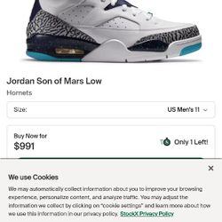 Rare Pair Of Hornet Jordans Size 10 And A Half New