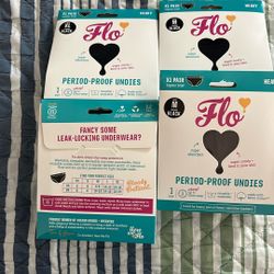 Period Proof Undies