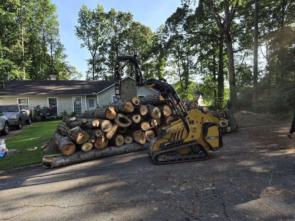 Tree Work