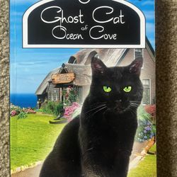 Ghost Cat At Ocean Cove By Mollie Hunt 