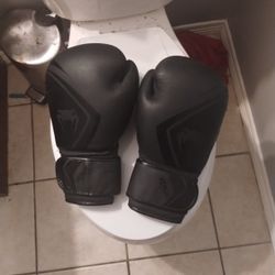 Venom Boxing Gloves.