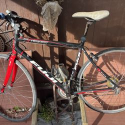 Fuji Road Bike, 