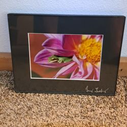 Frog Dallia flower ( signed by artist )