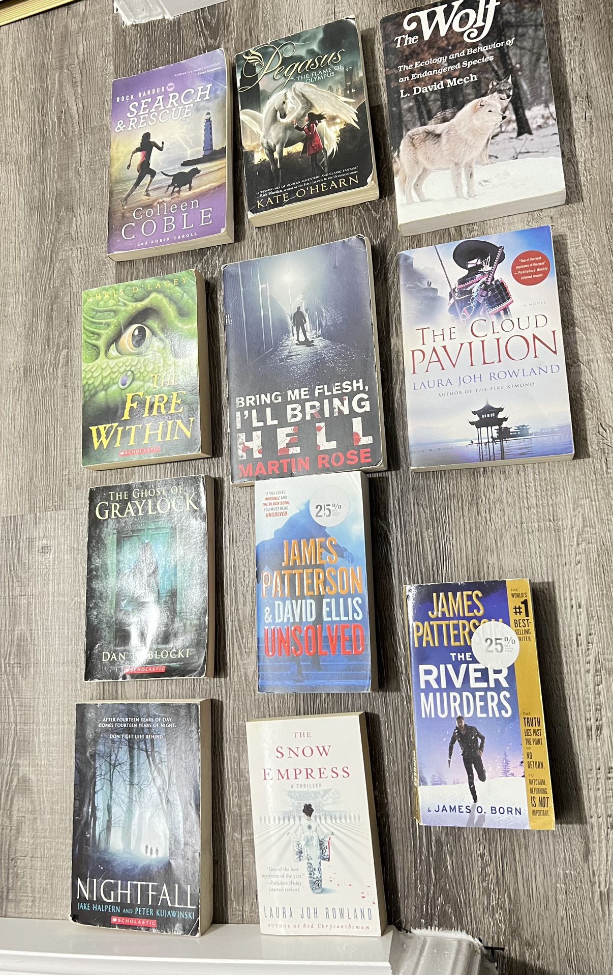 Books Fiction Thriller Suspense Novels Books Lot