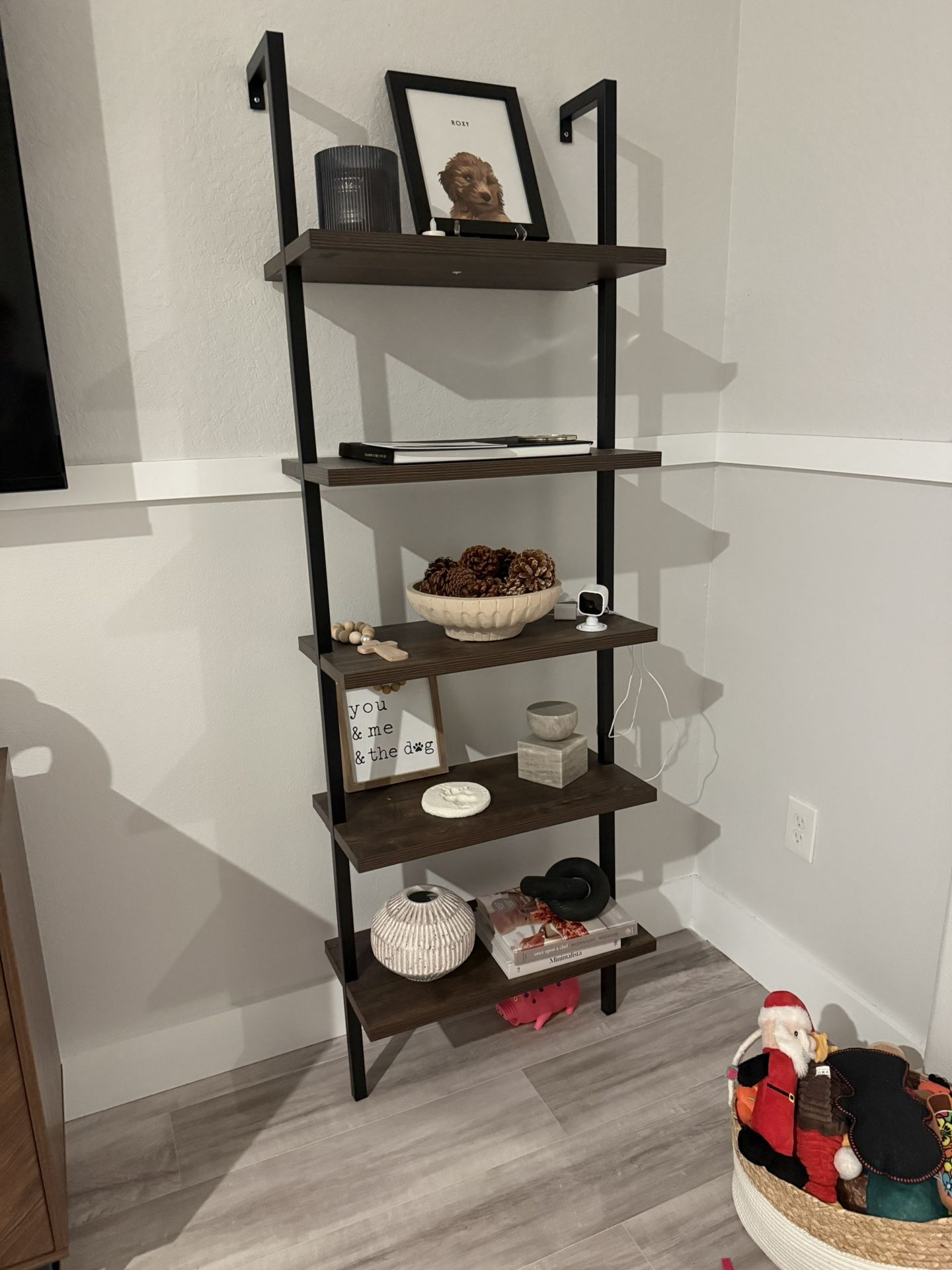 Mounted Shelf Ladder