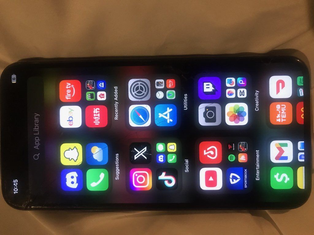 iPhone X With TikTok