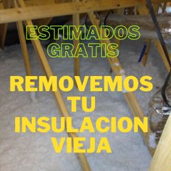 Insulation Remova|