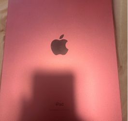 Apple iPad Pink Aluminum 10 th generation