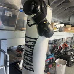 Everlast Boxing Bag With Chain & Set Of Everlast Gloves