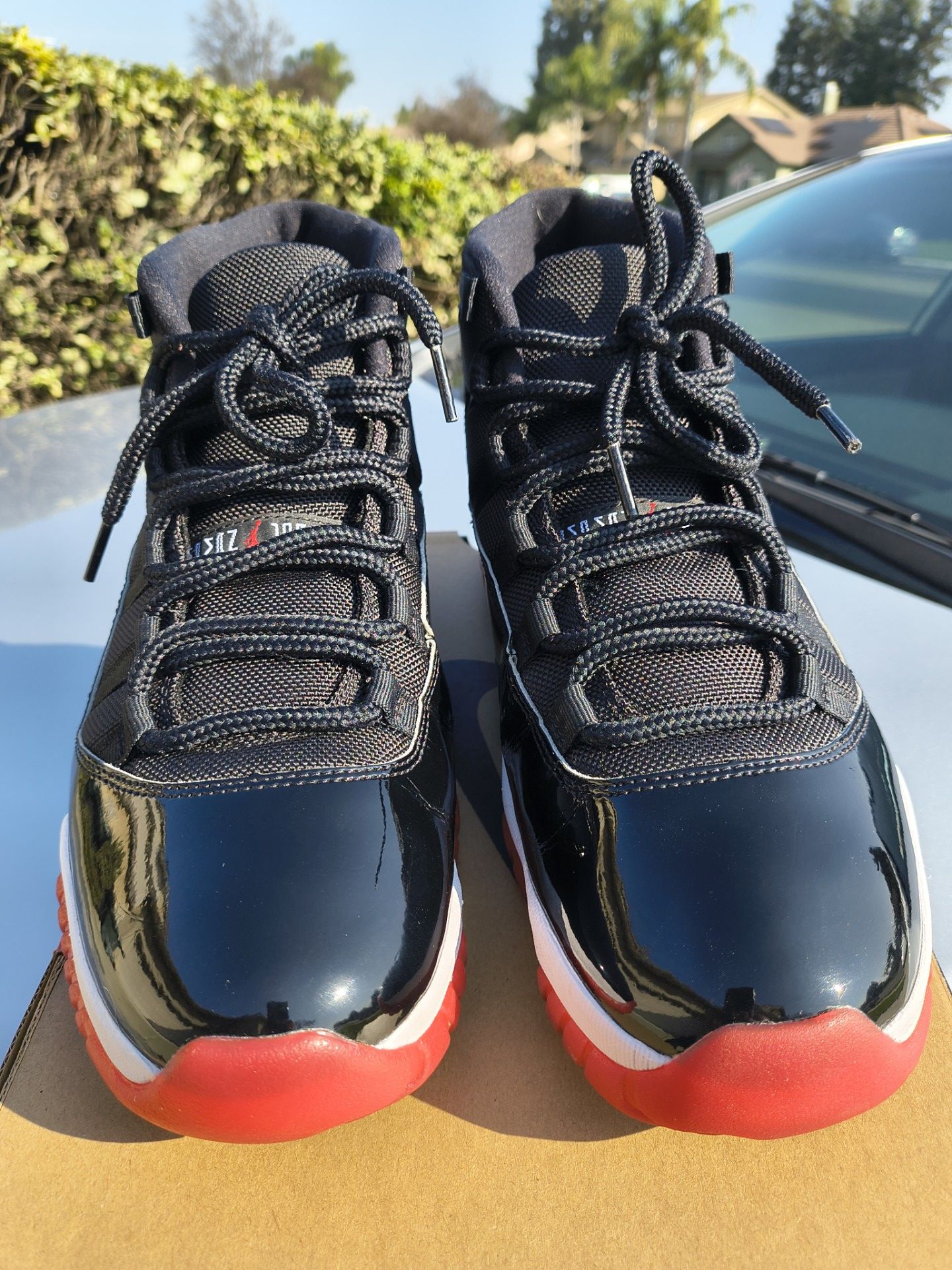 Jordan 11 Bred size 9.5 (NO TRADES PRICE IS FIRM)