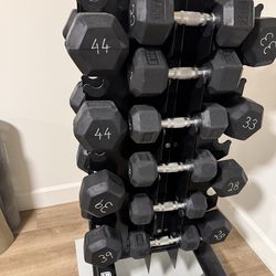 Free weights + rack and bench