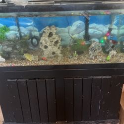 Selling a $20075 gallon tank with Stan Accessories does not include 