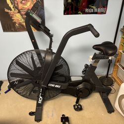 Rogue Echo Bike