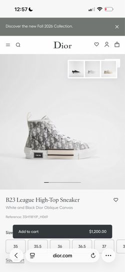DIOR B23