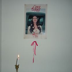 lana del rey poster 