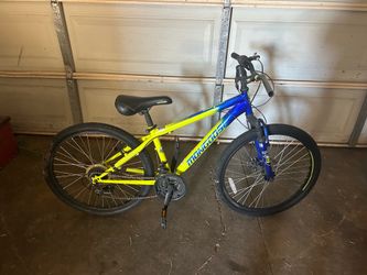 Bike 24”