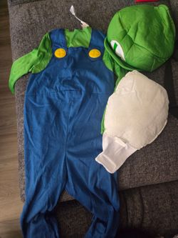 2t luigi costume