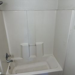 Bath Remodel