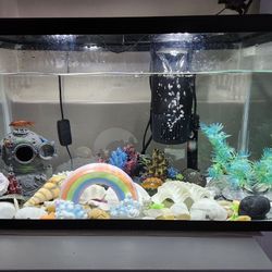 Complete Fish Tank Setup – $45