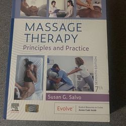 Message Therapy Principals And Practice 