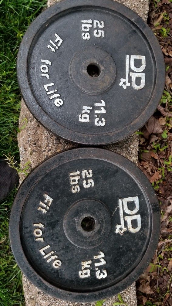 2 - 25lb DP 1" Standard Barbell Plates 