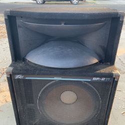 DJ or Band Speakers & Amp - (4) Speakers Total - Peavey