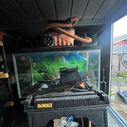 Fish Tank With Items Needed For Fish