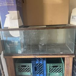 Reptile/fish Tank