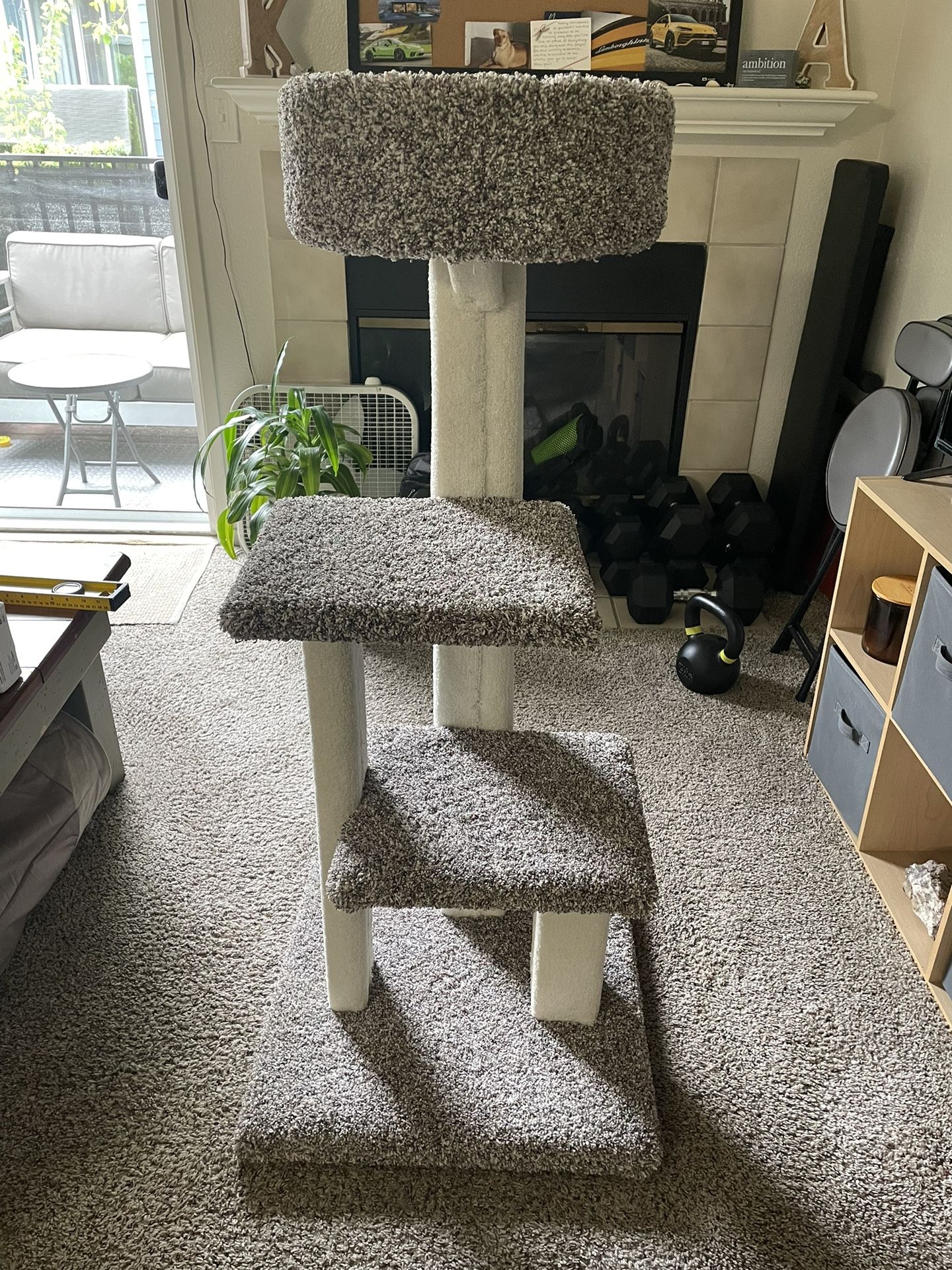 Brand New Cat Tree - Citrus Heights 