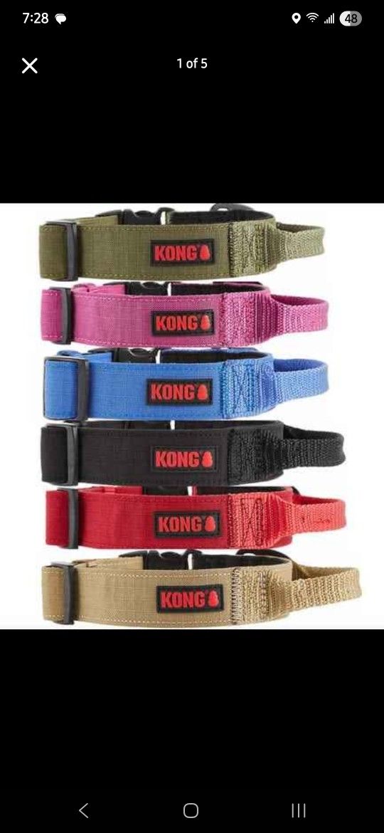 Kong Collars And Leashes For Cheap!! 