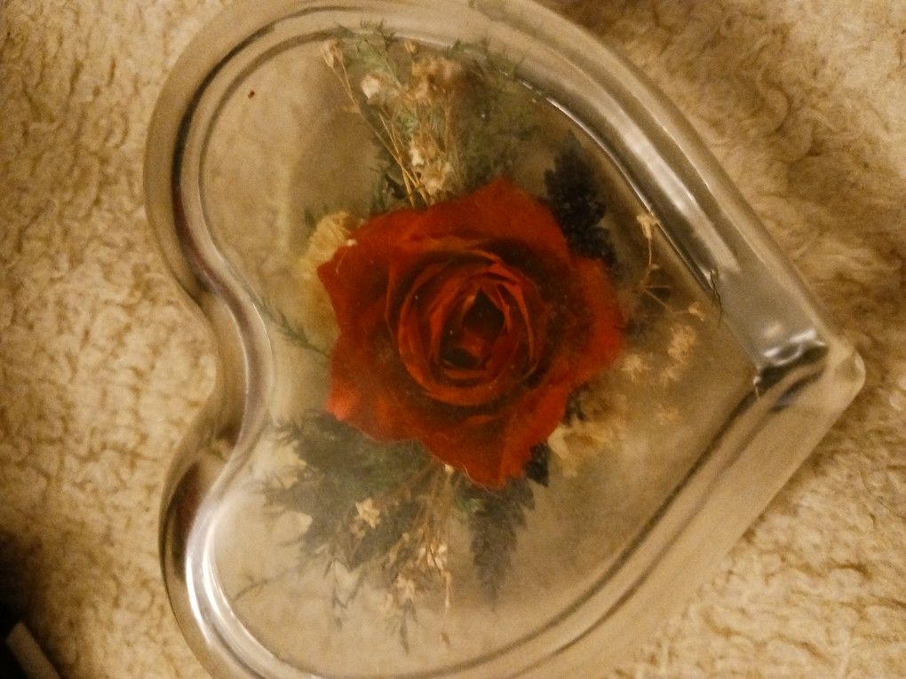Natural Expression A Real Freeze Dried Rose Red