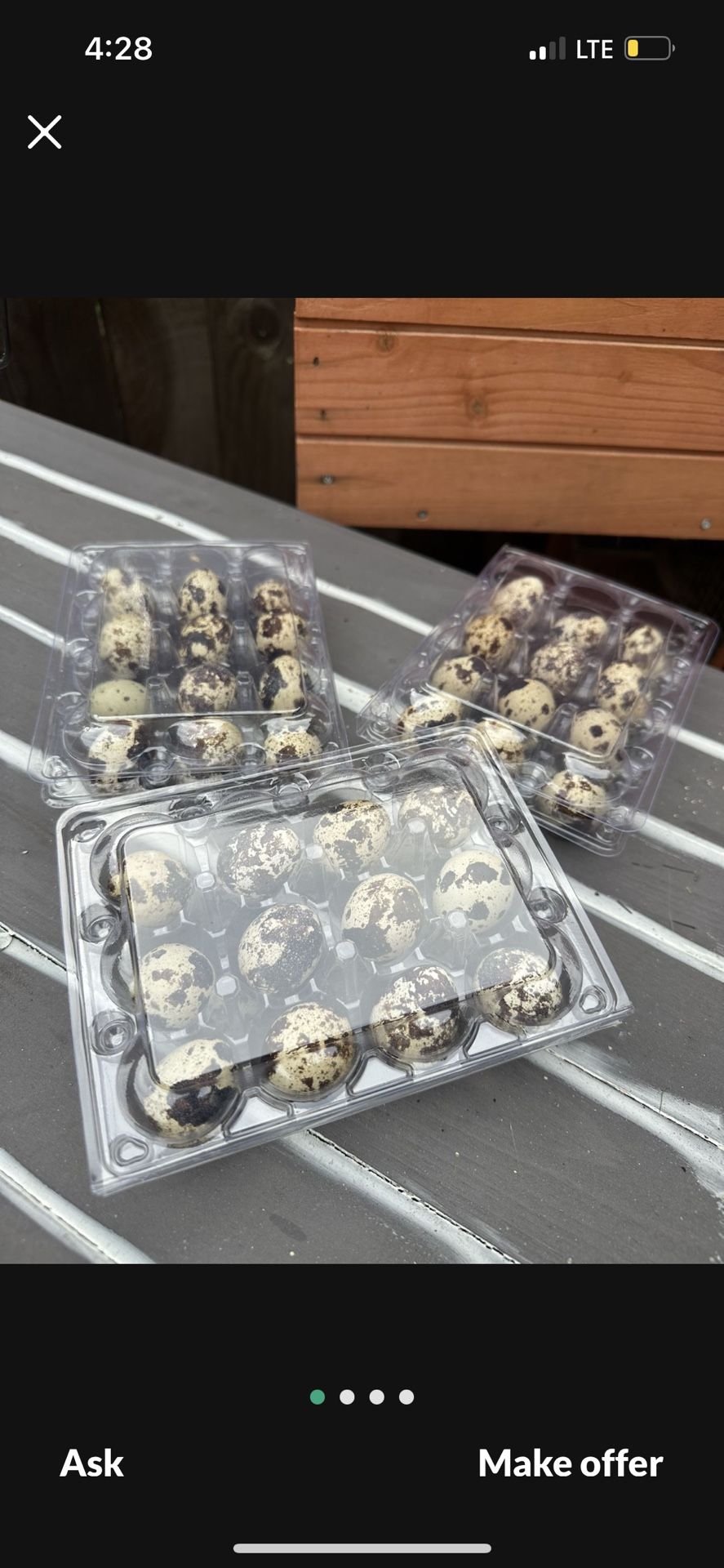 Codorniz Eggs