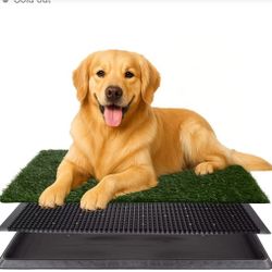 20x30 Reusable 3-Layer Puppy Pee Pad