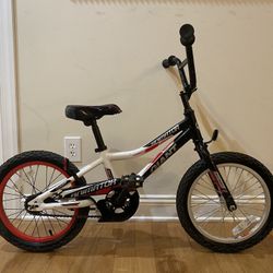 GIANT Animator 16" Bike Bicycle (Good condition)