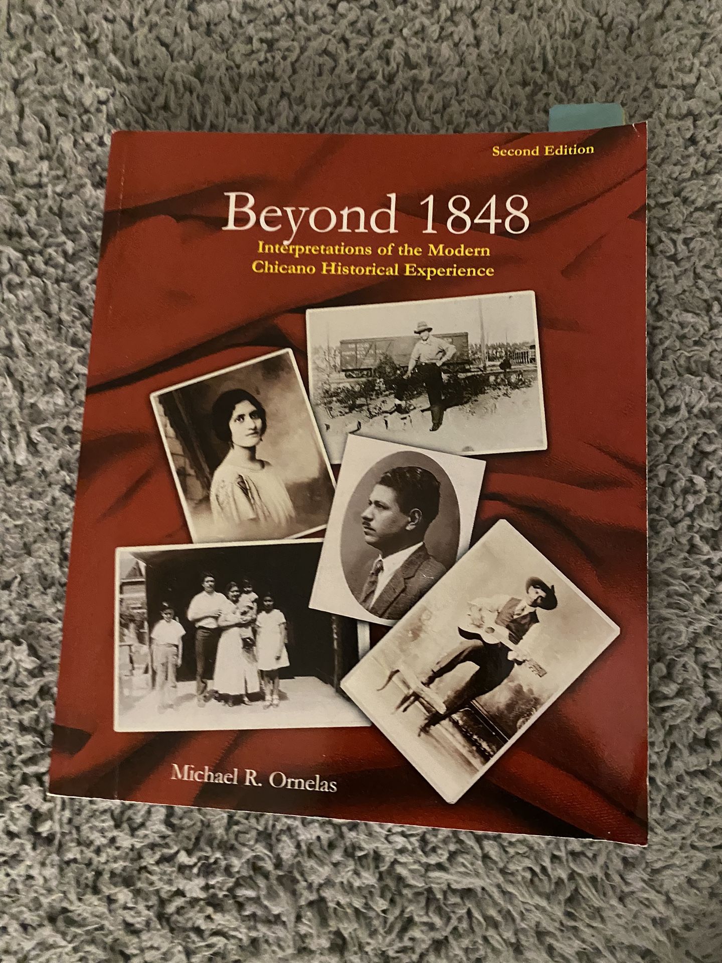 beyond 1848 book