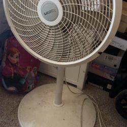 Fan 