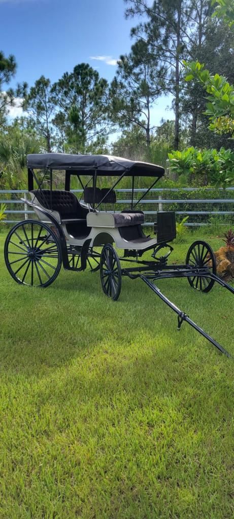 Horse Carriage ( Carruaje Para Caballo 🐴 )