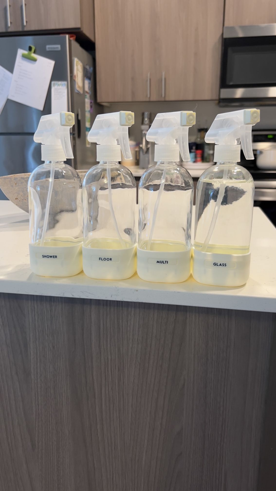 4 Glass Cleaning Spray Bottles with Sleeve