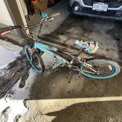 Girls Bicycle