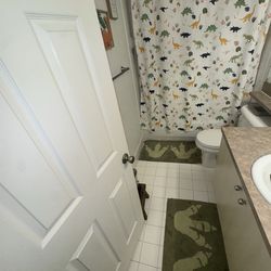 Dinosaur Bathroom Decorations