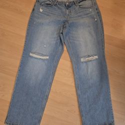 New With Tags Wild Fable Women's Jeans Size 14