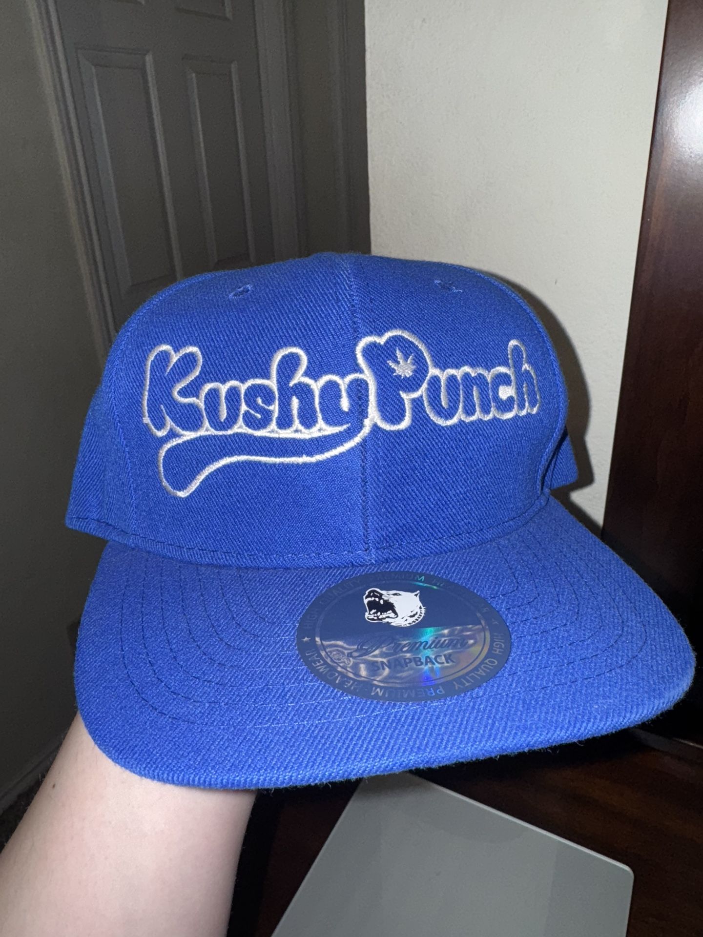 SnapBack Hat