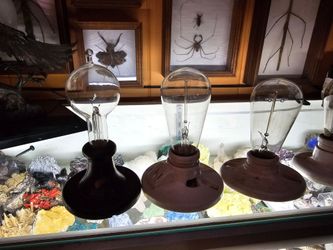 6 antique, vintage light bulbs